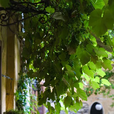 Dimora Magica Apartment